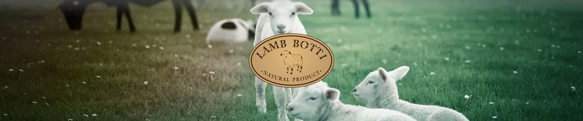 lambsl 2